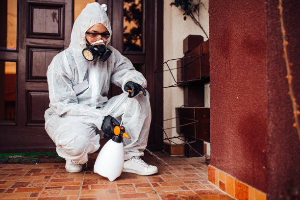 Reliable Bed Bug Control contractor in Desert Hills, AZ by Nex Pest Control