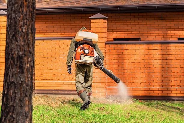 Trusted Fumigation Services service in Desert Hills, AZ - Nex Pest Control